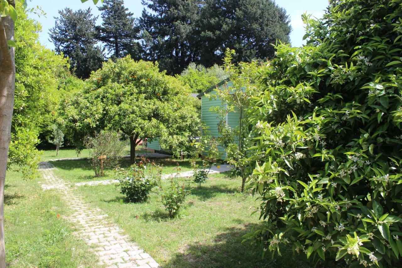 SaklıBahçe Pension Cirali Exterior foto