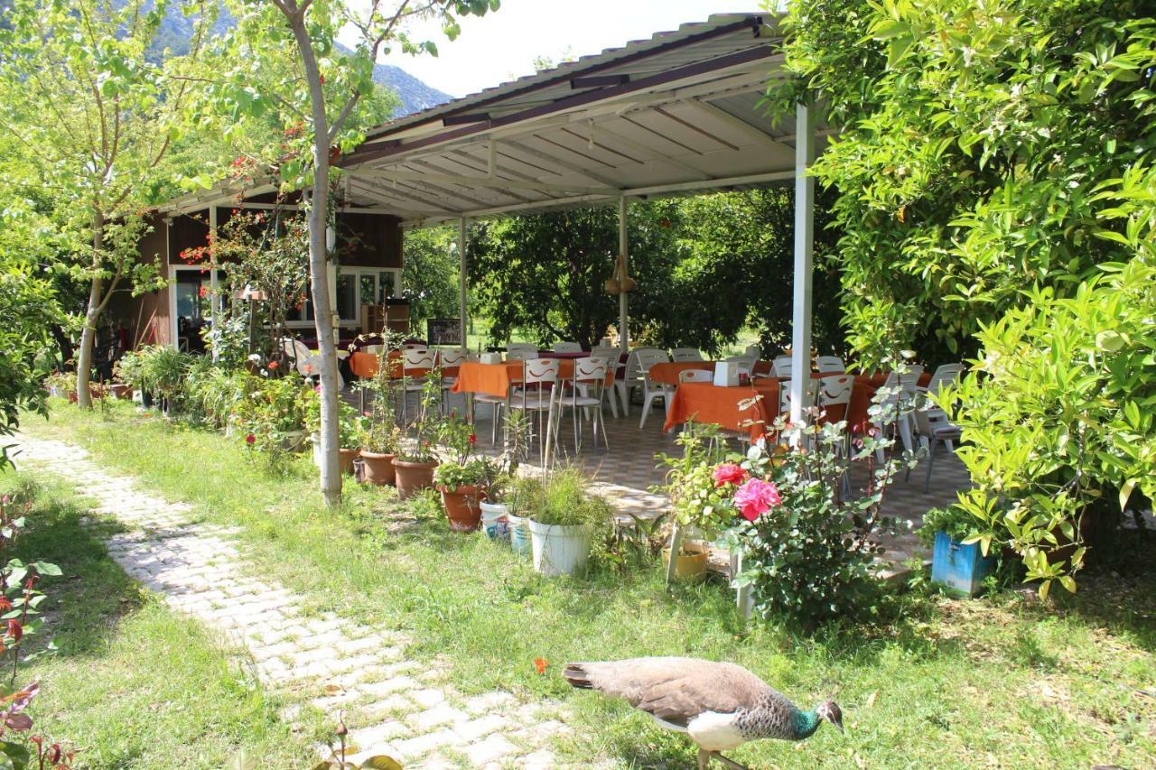 SaklıBahçe Pension Cirali Exterior foto