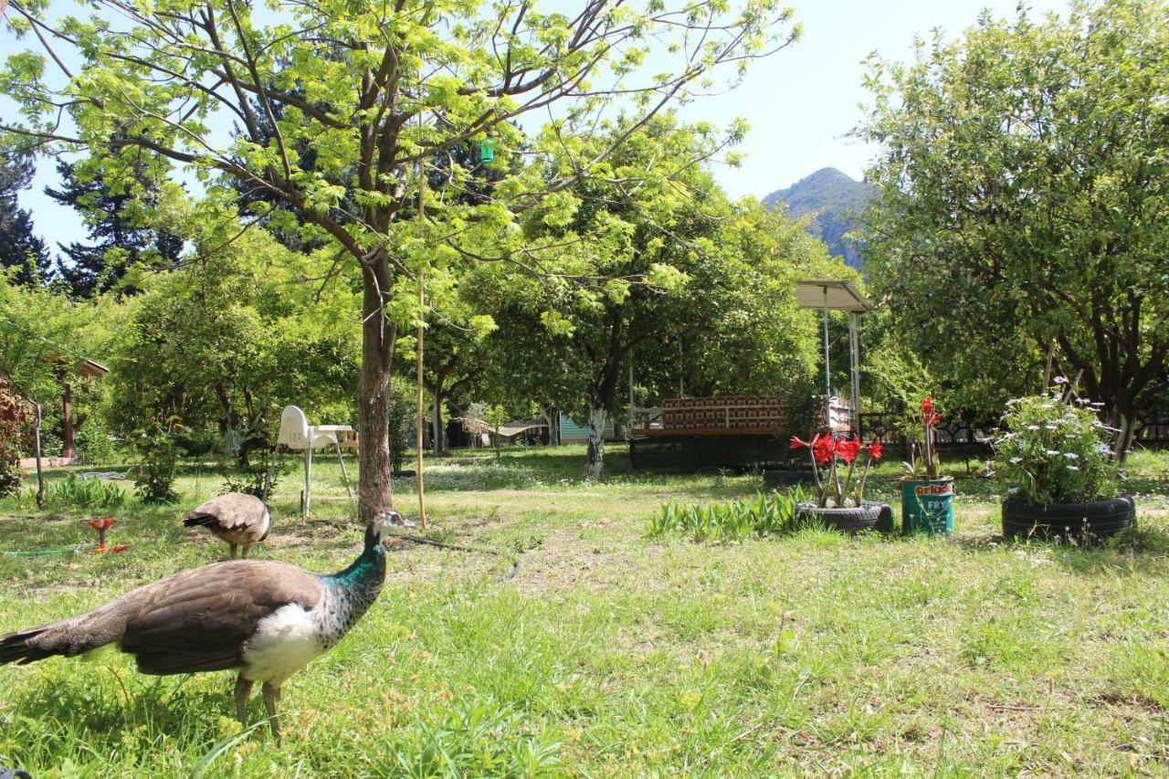 SaklıBahçe Pension Cirali Exterior foto
