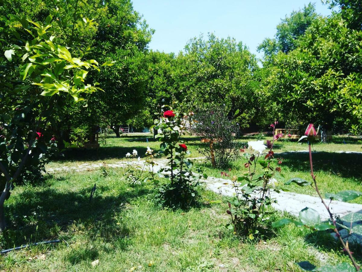 SaklıBahçe Pension Cirali Exterior foto