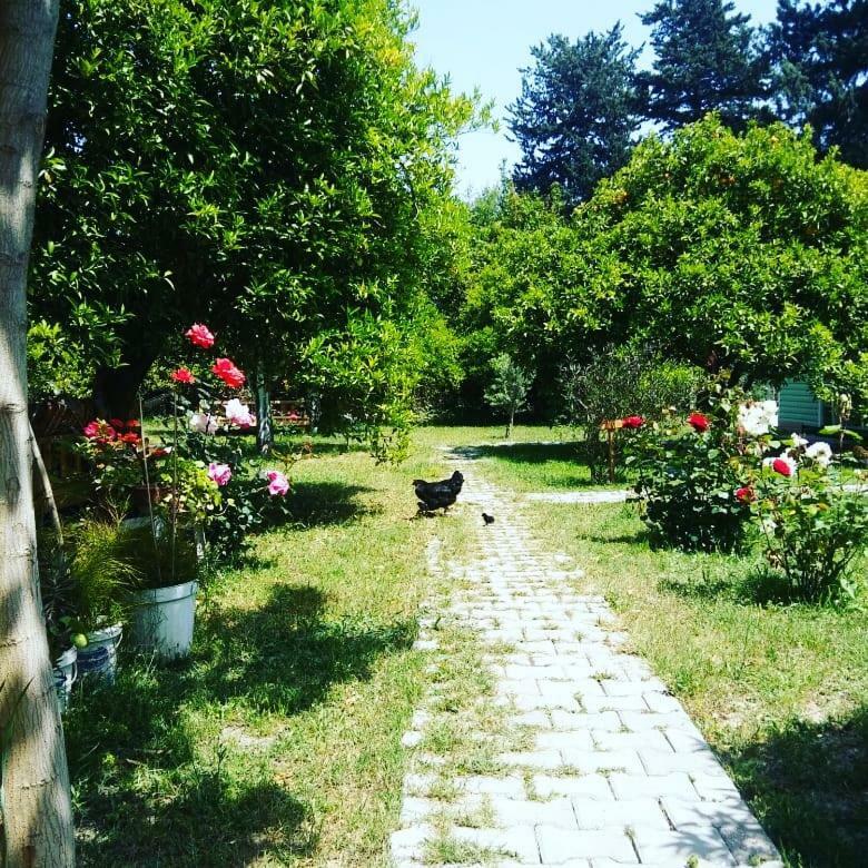 SaklıBahçe Pension Cirali Exterior foto